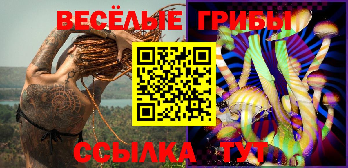 Аксай  Галлюциногенные грибы GOLDEN TEACHER  Вход с VPN  Псилоцибиновые грибы мухоморы 