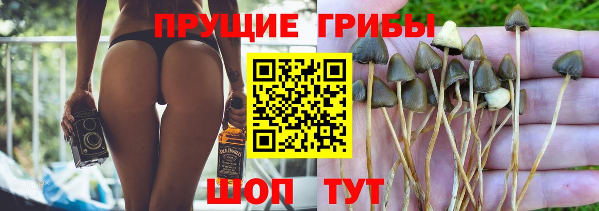Галлюциногенные грибы GOLDEN TEACHER Аксай